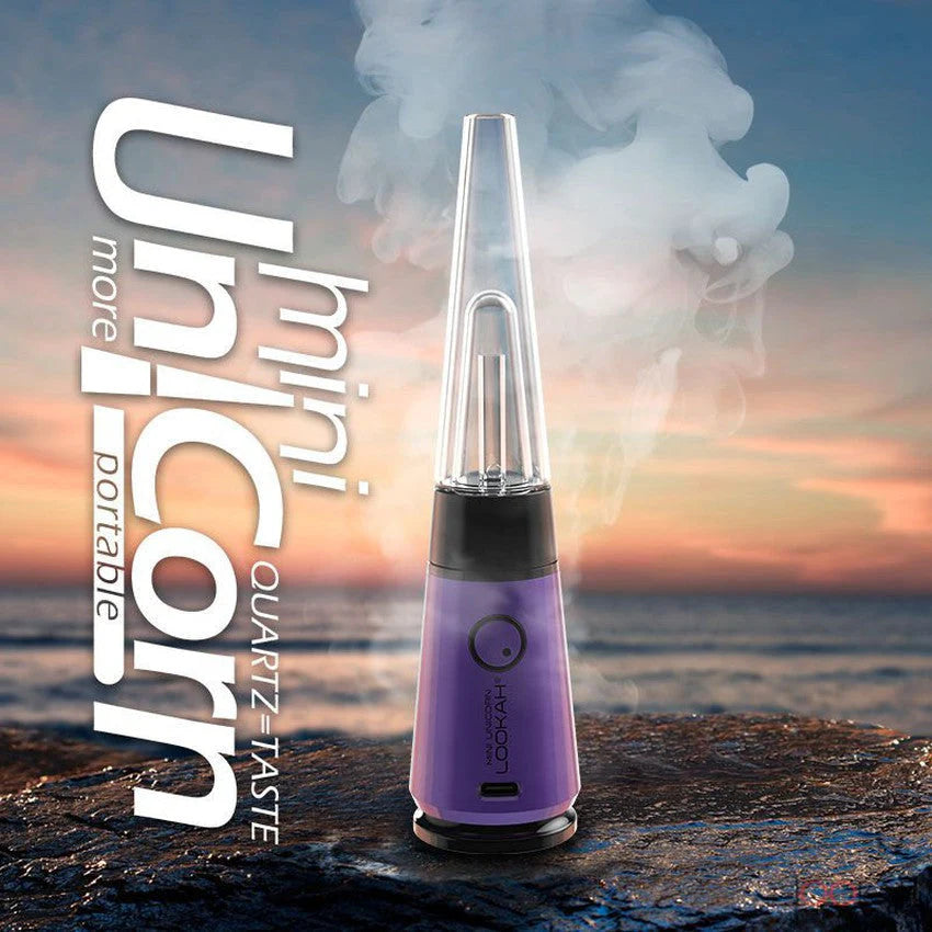 Mini Unicorn